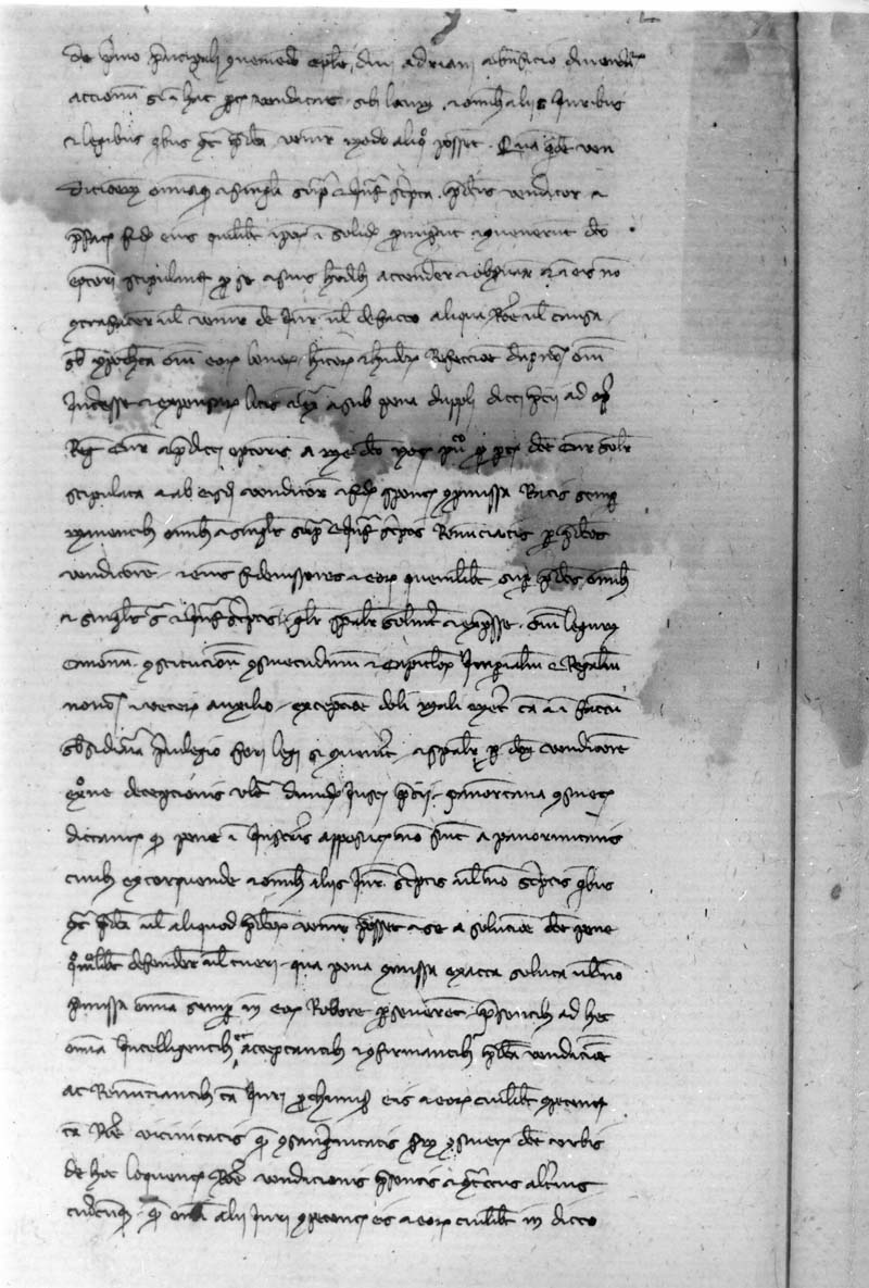 5.jpg (159854 byte)