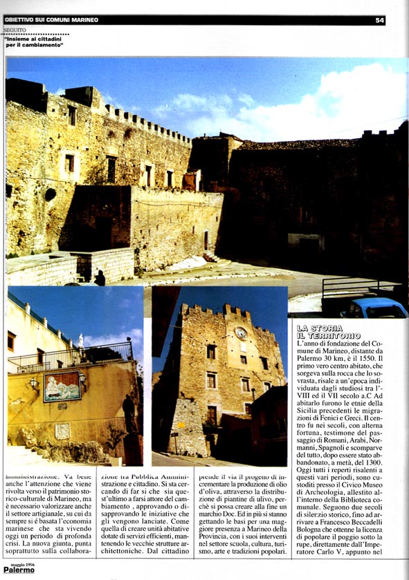 pal008b.JPG (548661 byte)